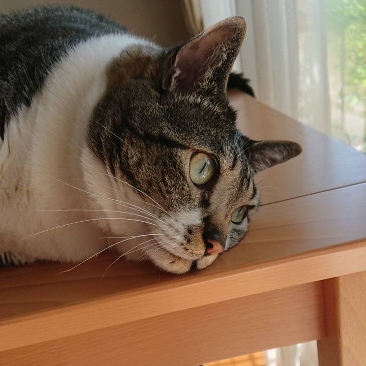 63f38412 cb55 4b1c 9806 38bb402bd1b8 1524975159049