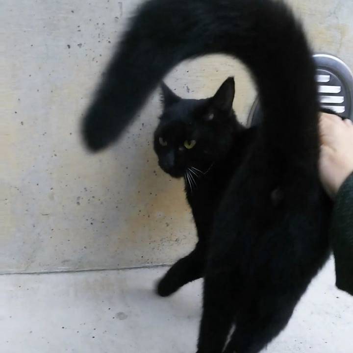 63f3c619 ae27 4002 83a1 000aad2786d7 1541394124845