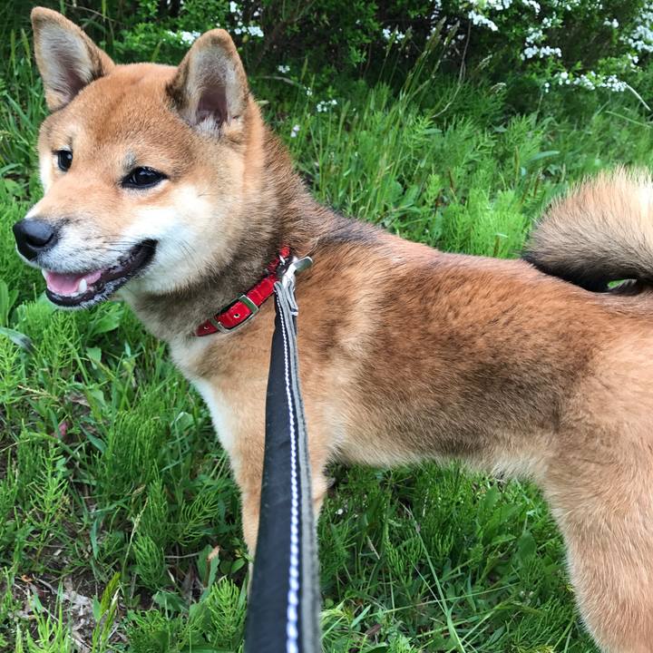 63f3df47 e968 4d10 8e67 95793a2e87c6 1518395969534