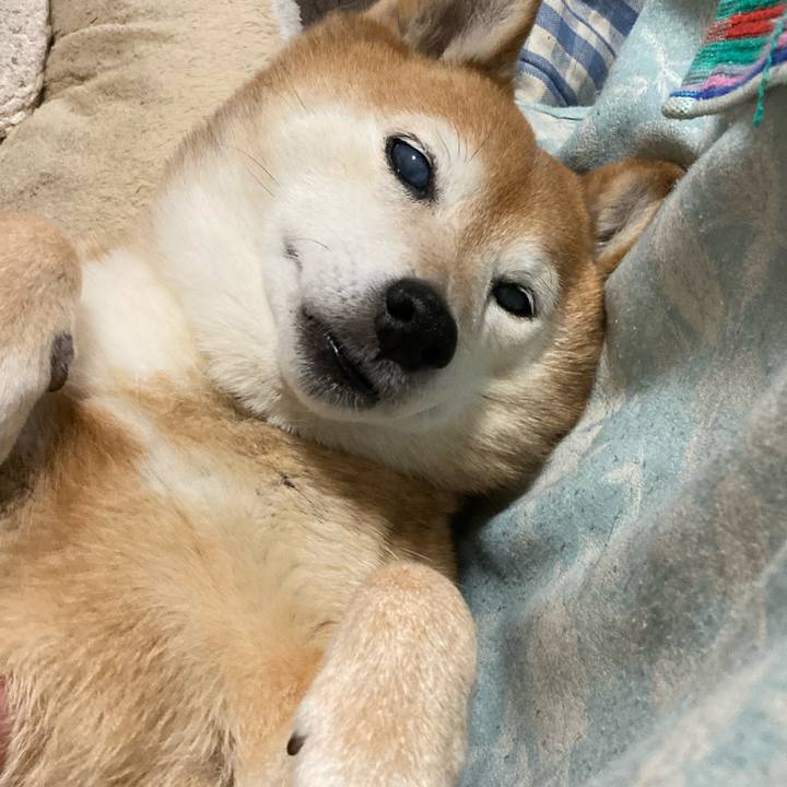 63f3e781 0064 4440 8ab2 eaf81919fabf 1709712370722