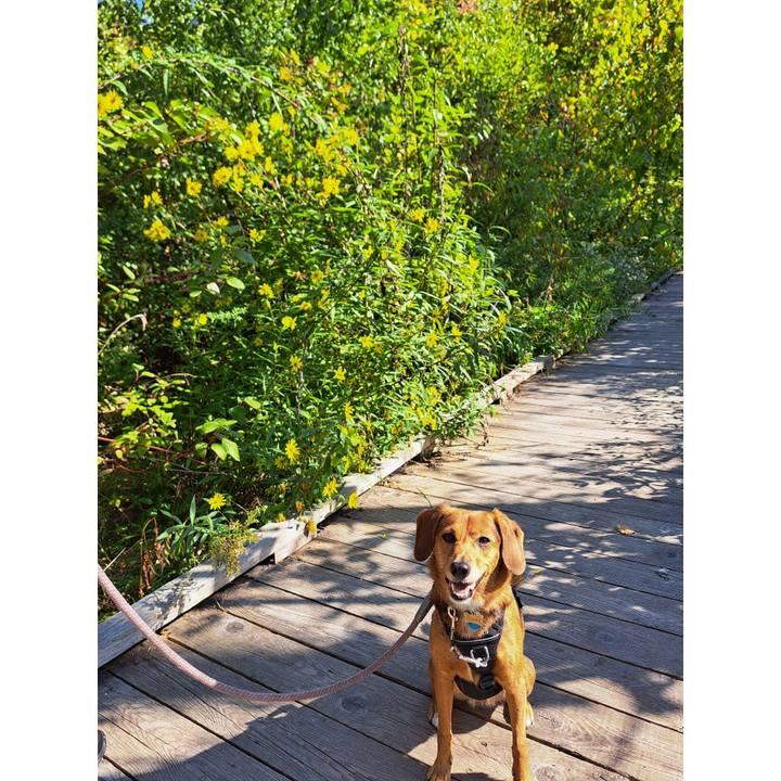 63f3f0bc f97f 4753 a866 0d4ce6169c6d 1758475671014