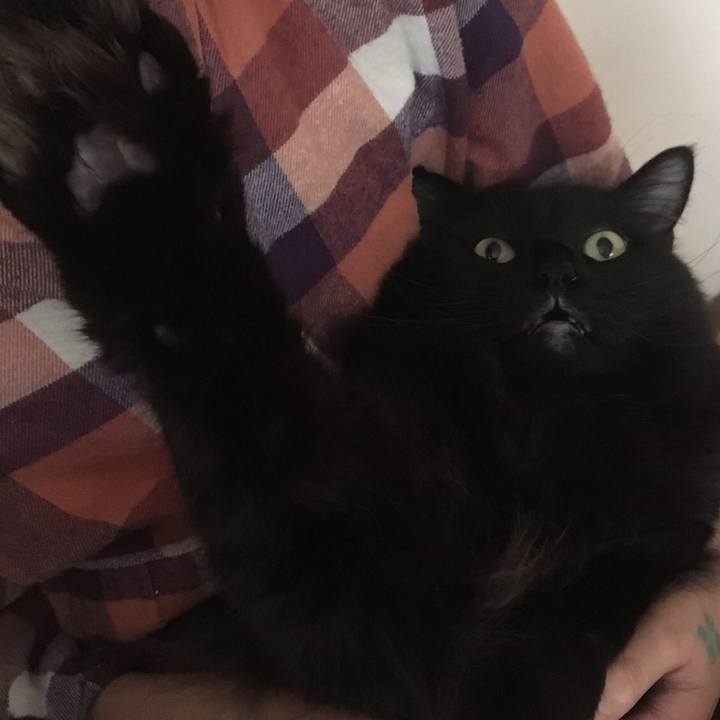 63f40abc 2cda 4de5 ab16 4263d3015011 1510037505851