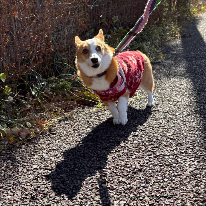 63f40bc6 690c 4a55 a8e9 c19f099d94f4 1768973898920