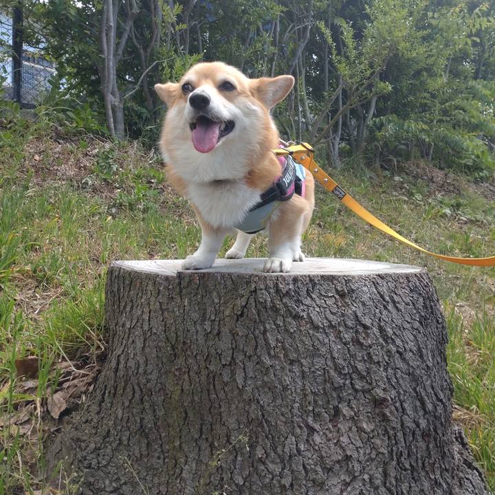 63f44001 3ae0 4887 bfcc b0260f4e4cee 1654609690150