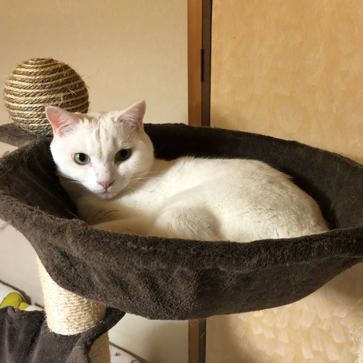 63f4678d 19b4 43fe a491 cf26f14279b5 1601950634486