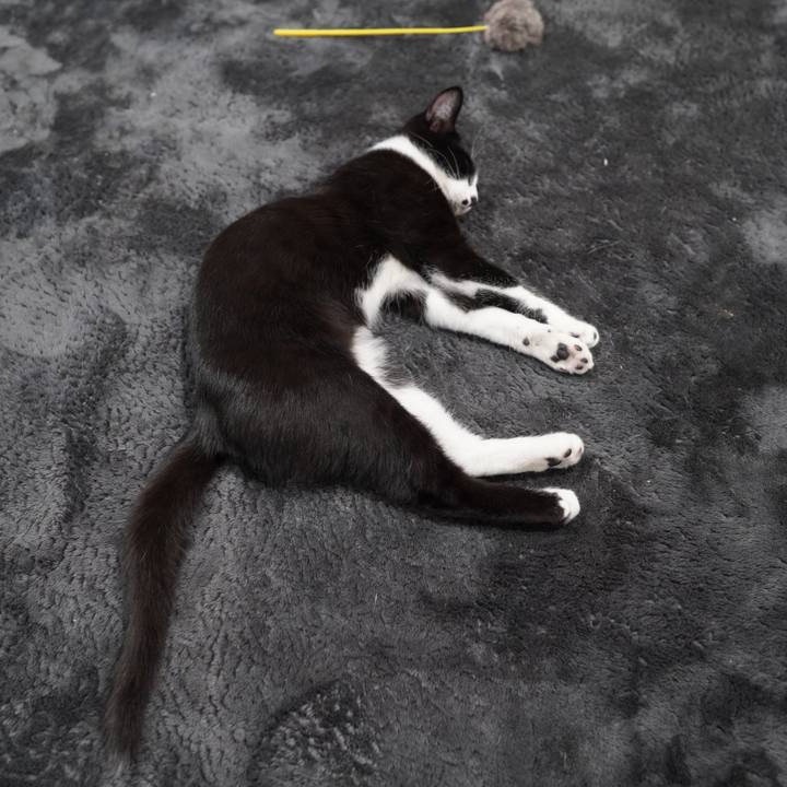 63f46c72 e11e 4b2a b863 41d9c0ac6176 1582676104442