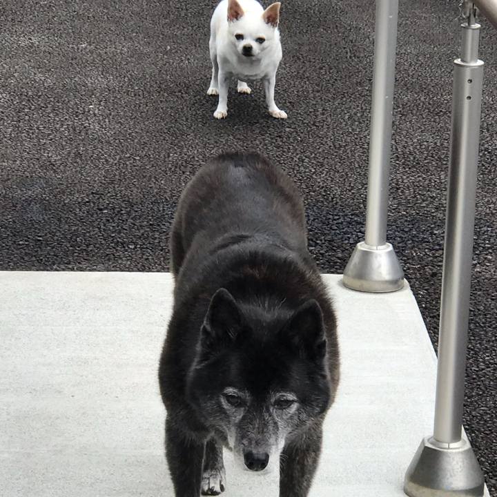 63f4977f 3b22 4dd2 afdb 602b2dabde2e 1604399847391