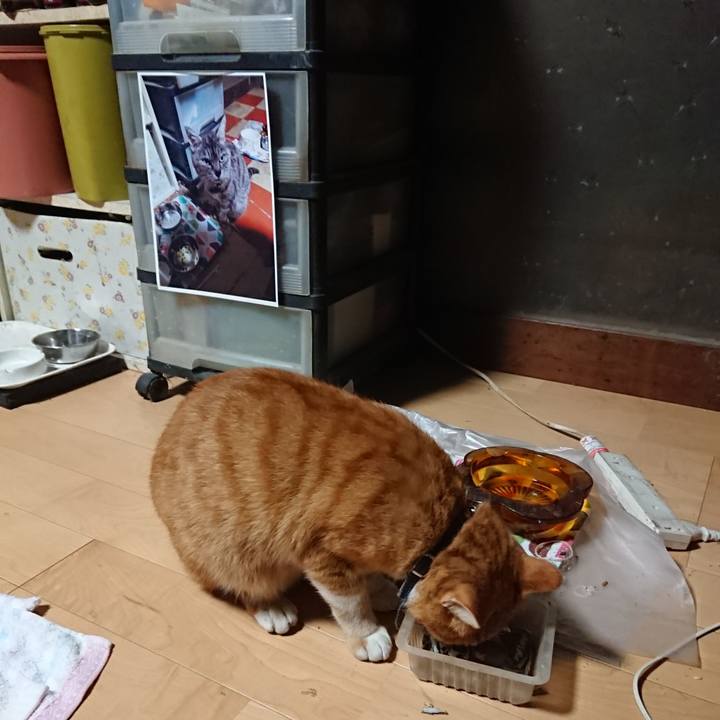 63f4c60d c762 4b4e 9c5f 5a5144f83dda 1600978322669