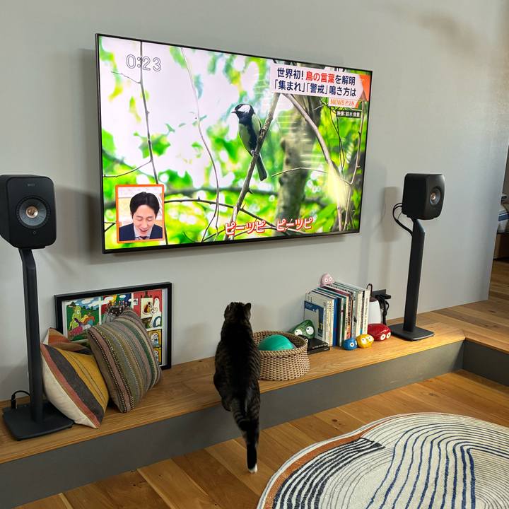 63f4cf8a 42a2 432f aa6d 45ece332ee8a 1763543361736