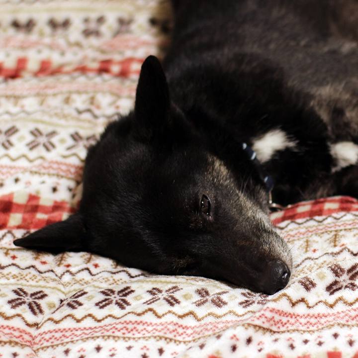 63f4e1d0 e05f 45f2 bd2d 5e1a6f3bb990 1613344829901