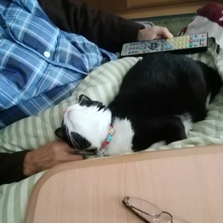 63f4ed76 0cf1 4ac9 b660 236c744229bc 1608002776074