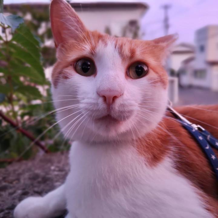 63f4f32c 217c 4054 b184 47a17a6e29c6 1532262163902