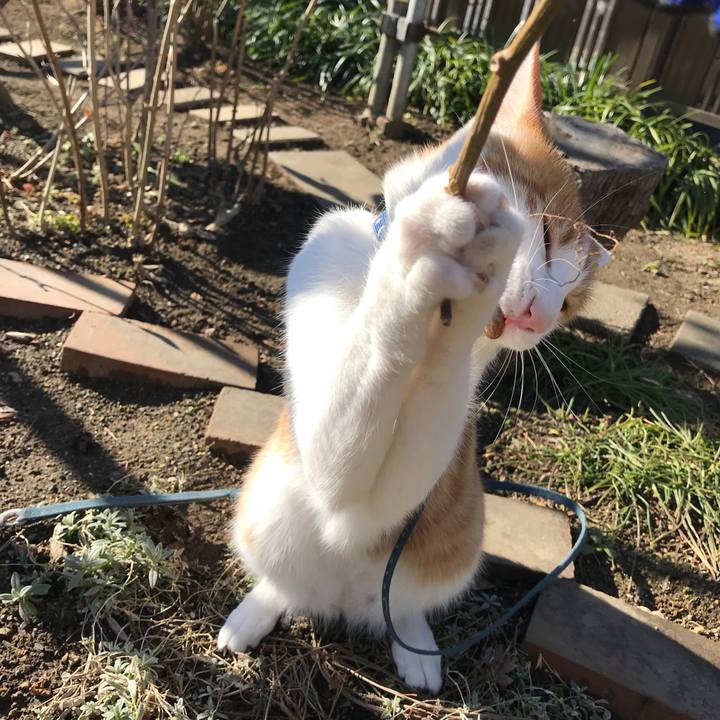 63f4f47c f485 42cc b706 6e9e54625e7e 1512612485652