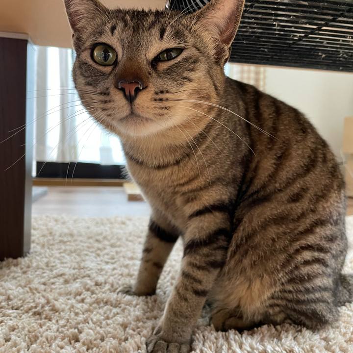 63f4fa5e e10f 4ba4 bfb9 c0523ac69f68 1653028469075