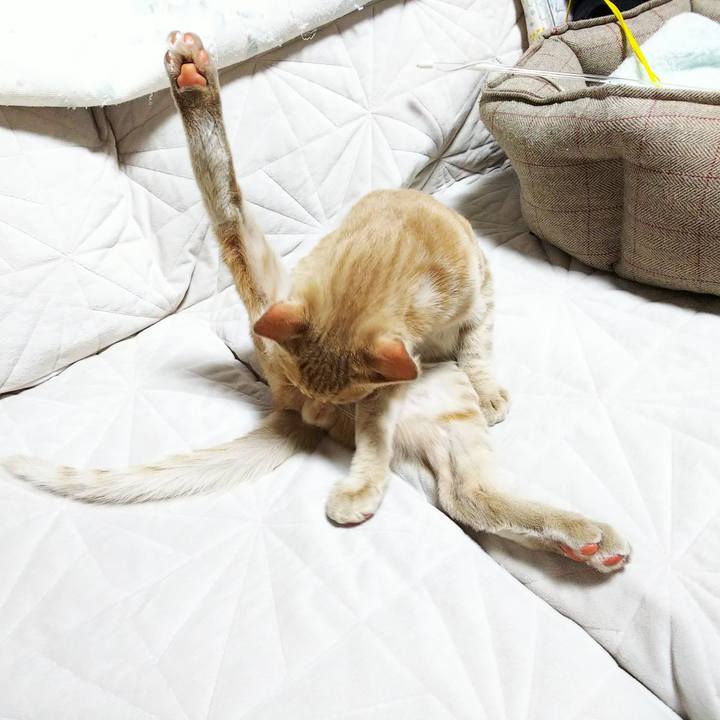 63f53075 858d 4b02 864b 0053a411de50 1544261838982