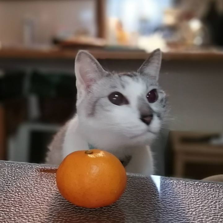 63f54568 4de8 466b b54f b2fb9a1d4d3b 1582601073894