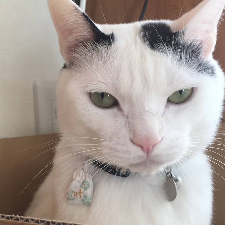 63f54601 3868 4958 80be 0ed0734debcf 1516924527345