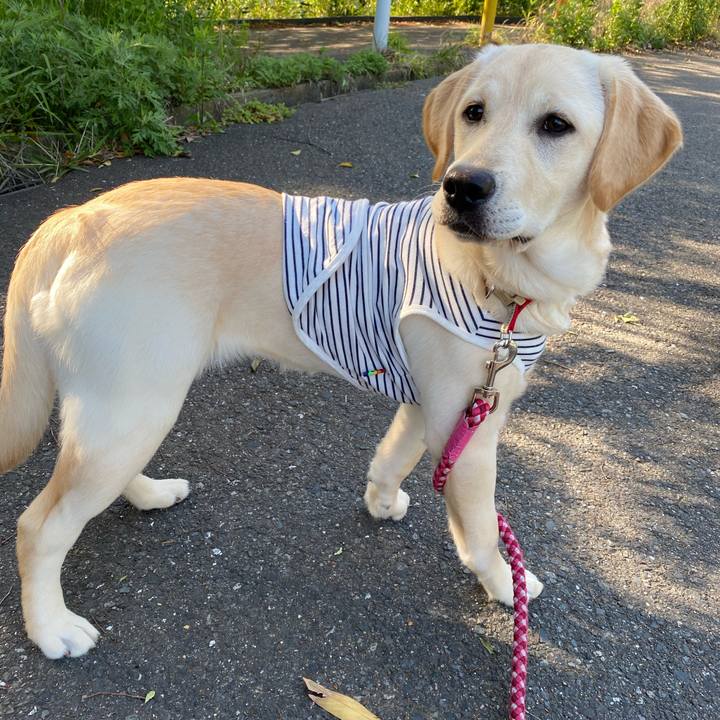 63f54df6 6171 43a0 bd8e 6d1106c4d72d 1620048213420