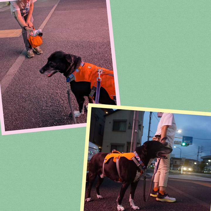 63f57182 4261 4696 8510 475d1e94ac10 1755082978072