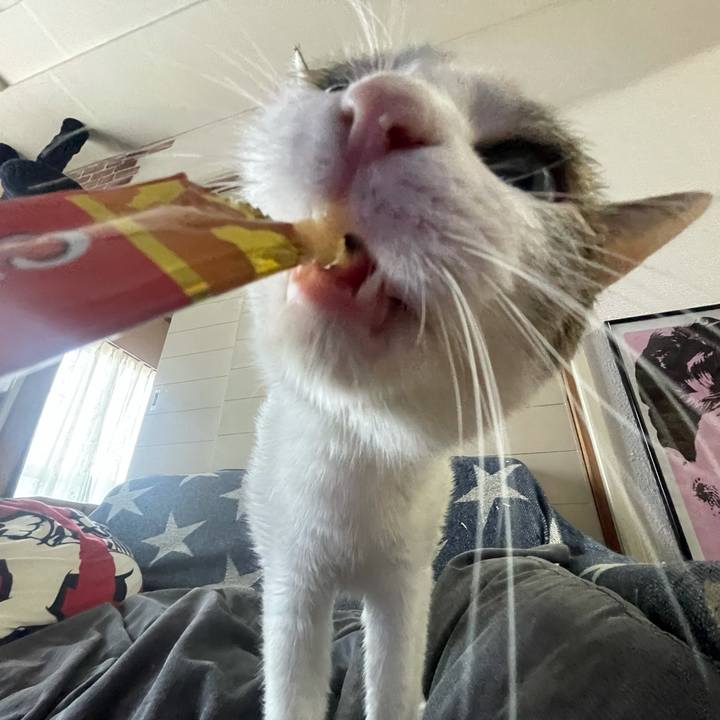 63f5bf3a c987 4d65 9ae6 06cb69910f2a 1627108894027