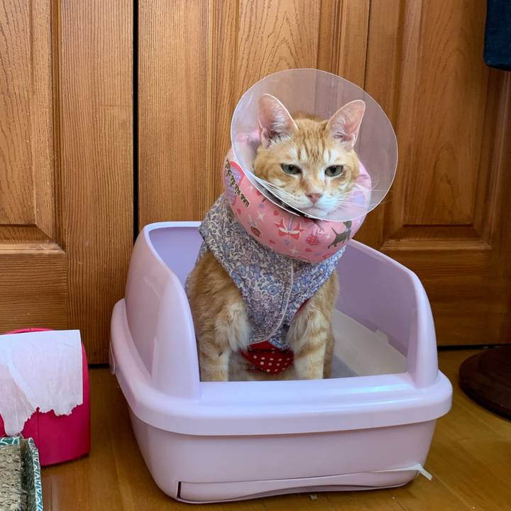 63f5ddbc 5f79 4823 bc49 7a775763f6c1 1622340301569