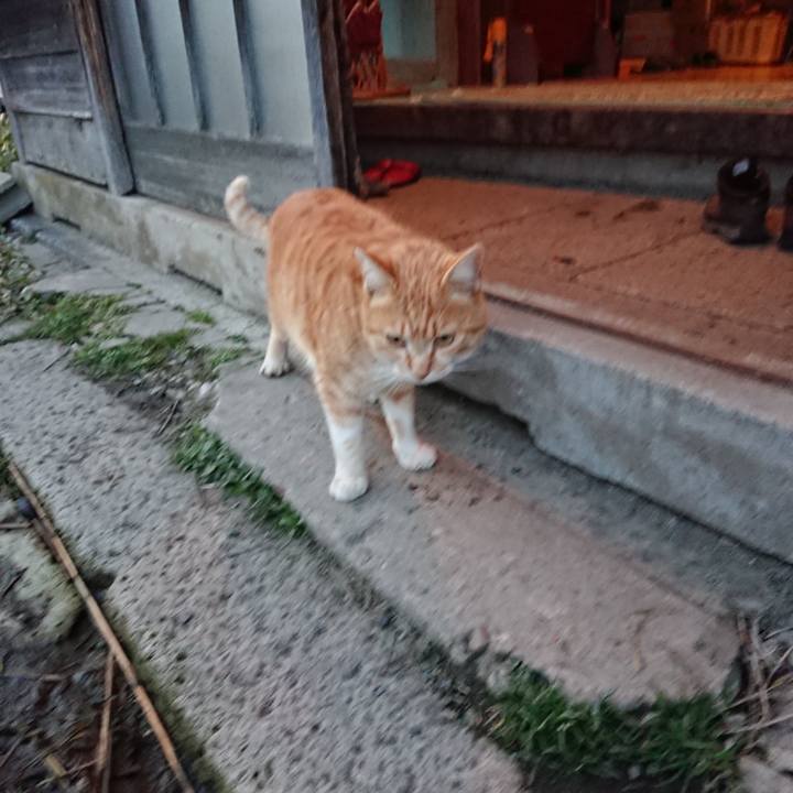 63f61754 a52d 4d3d aeab cacf77001773 1583226135848