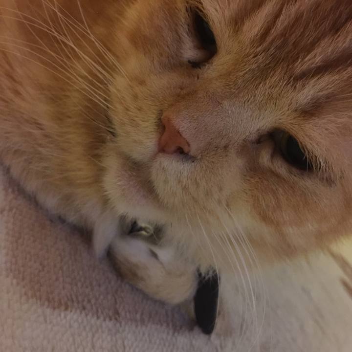 63f62756 16f7 421e bad2 ad719d6318ec 1557415993580