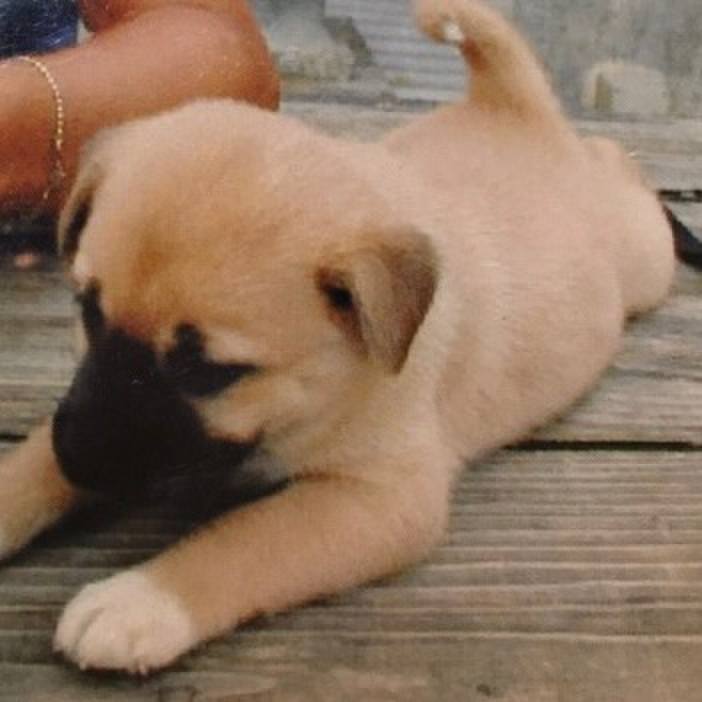 63f66046 c1a2 4251 9a84 ebff7e70610a 1538312691953