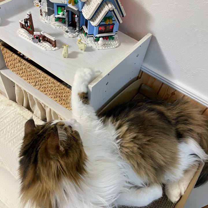 63f69ce5 73a1 4120 aa24 f352b37db429 1676928199953