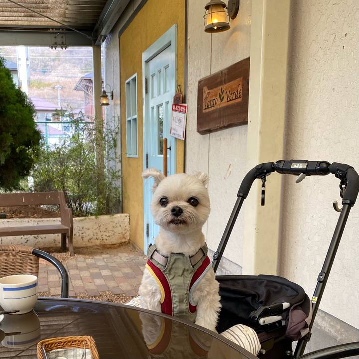 63f6c9e4 2a8e 475a b33f 875c9f6764f9 1741499984301