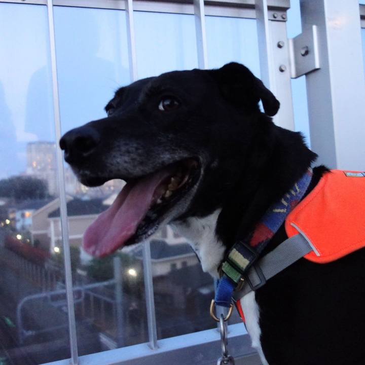 63f72b7b 9392 4a84 97c8 fadf63a3643a 1716721530807