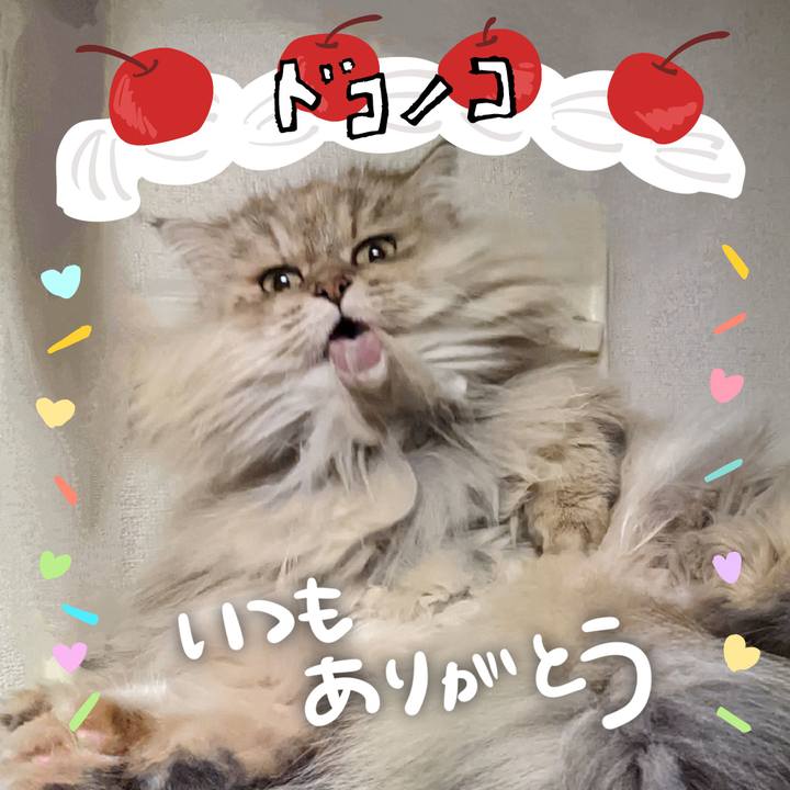 63f737a7 ef96 45eb 9367 972adc1a04e6 1685982685061