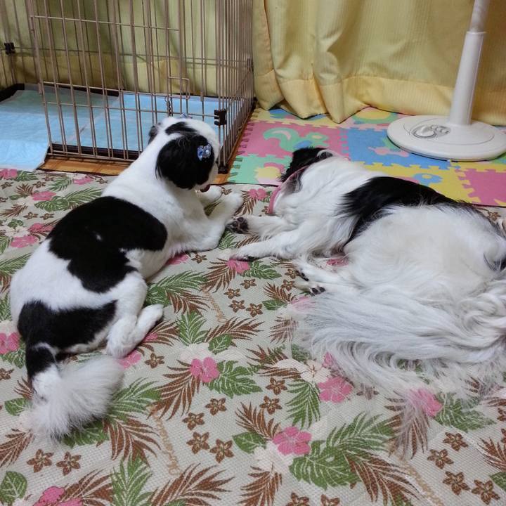 63f7a2f8 7141 4881 b63e f515bc4130b4 1629087891674