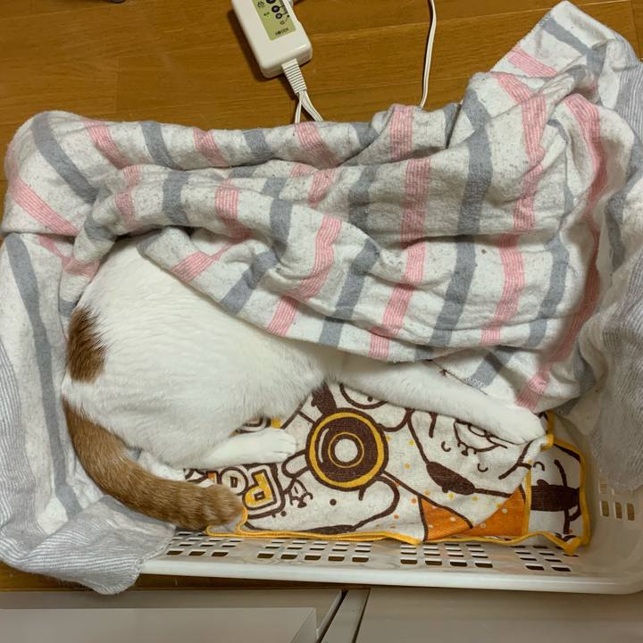 63f7bc88 21b6 4932 a0d2 746705ae2587 1588277156383