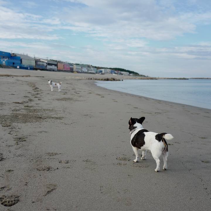 63f7cc21 6716 4d1f a103 7426bb50c1aa 1538712334455