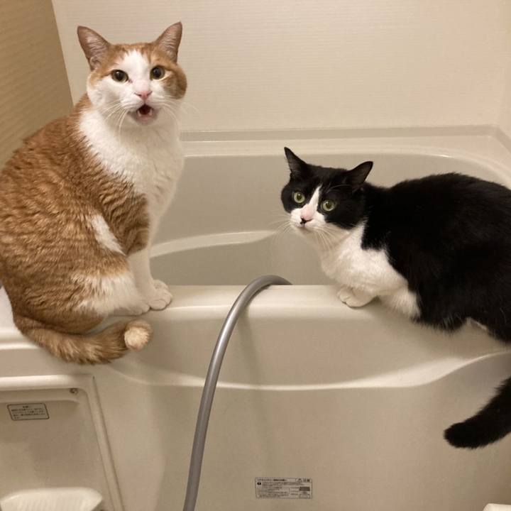 63f84030 6142 4c84 863a 5b420013d1ac 1646536271240