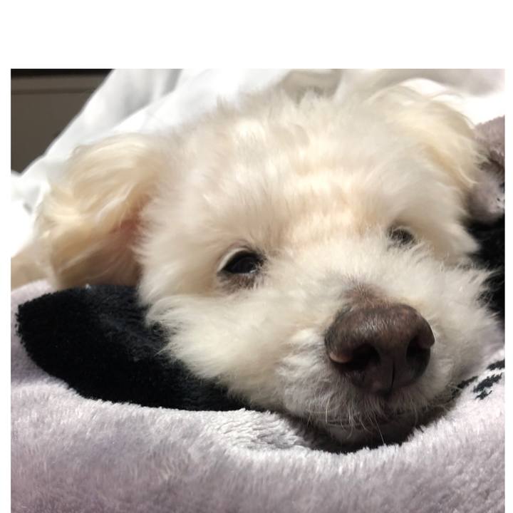 63f84bb6 ab51 4663 949a 5a010806b700 1555592821423