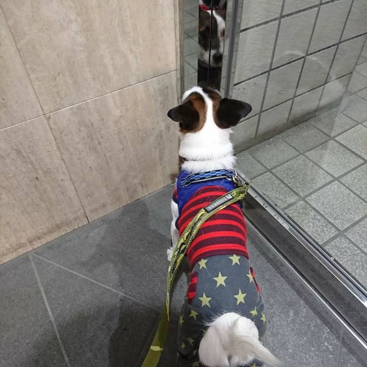 63f8863c 43b3 48ea 9b74 a01a1ea3cdd9 1518128111056