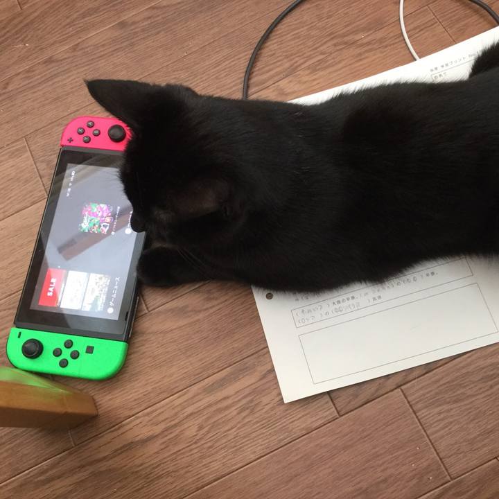 63f8873e eaa4 42db 87c3 04e8f0e3b029 1583822584142