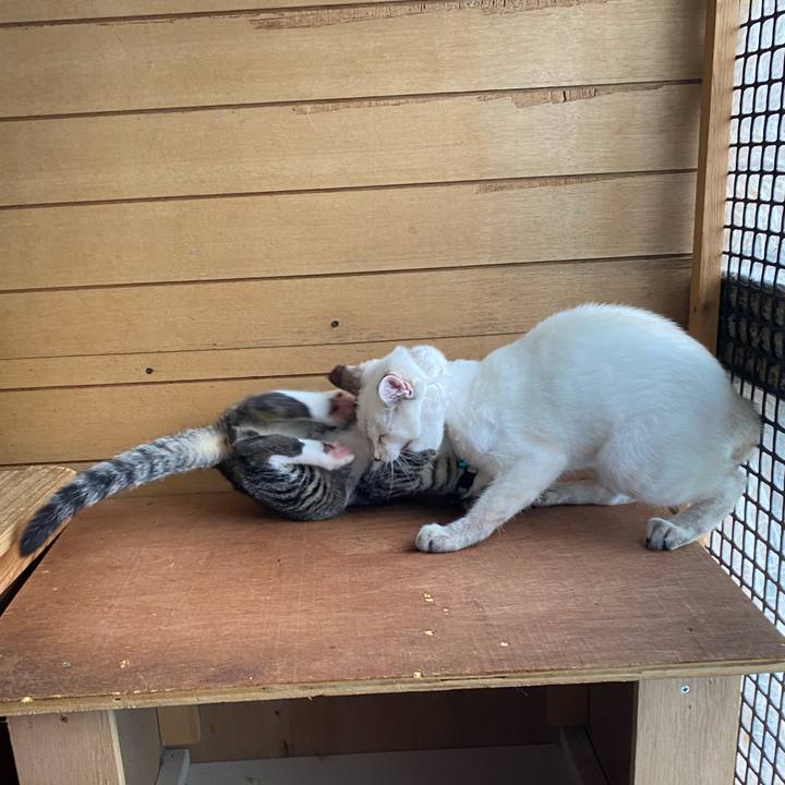 63f89eaf 3eb5 440d bb25 f5bcf5dd13cf 1628945225902