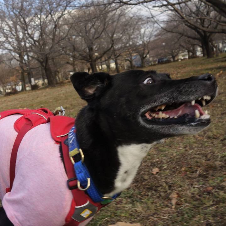 63f8c12c 8fcc 4f2b 9f81 7d9f38065b63 1672189163705