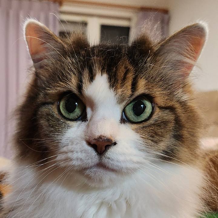 63f8e8e3 8399 443a bbee acf3896b1844 1754168810132