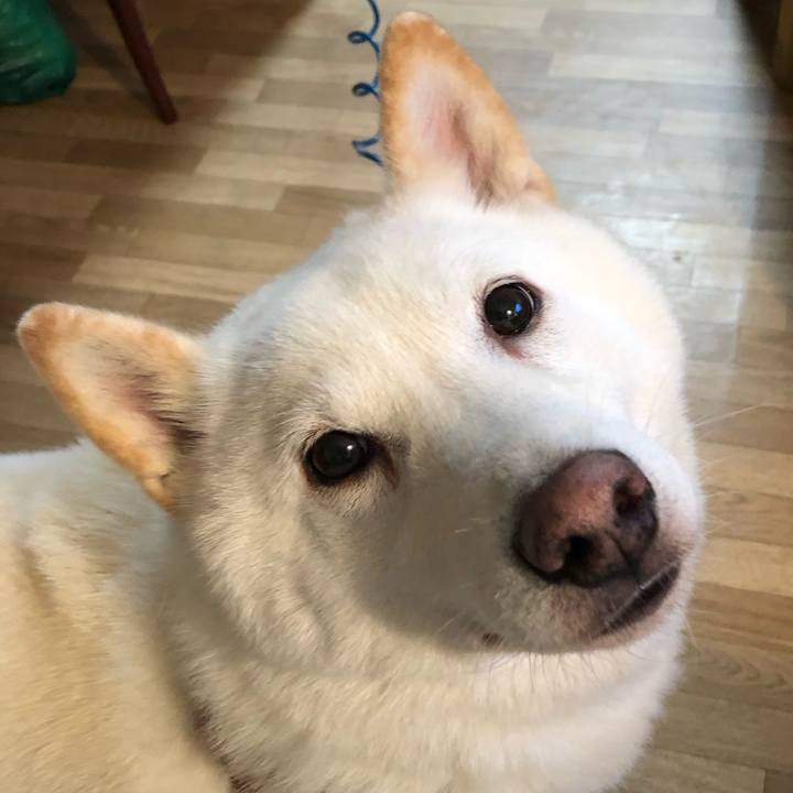 63f907e6 1269 44c2 a380 be6a079d3b1a 1602833353495