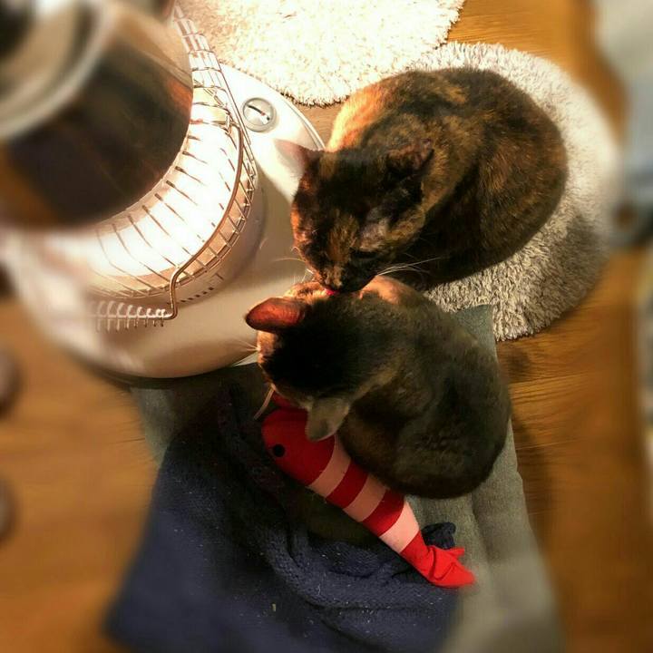 63f9162b 4357 4e50 a6da 21bc2342fe69 1579405276396