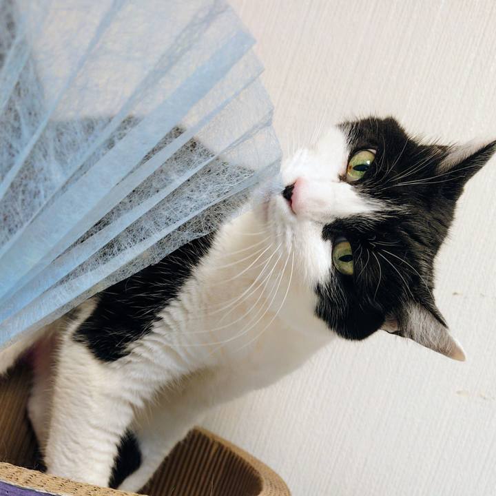 63f92d53 18fc 41e0 81ed 53df34214c81 1772931367682