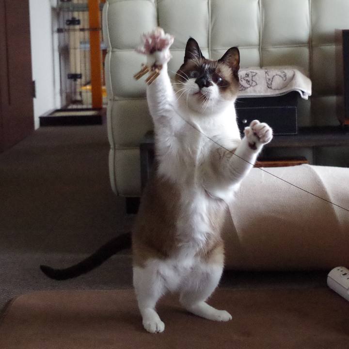 63f96ba0 0ccd 4bb1 bfdb 099af1a8ffe7 1612607874003