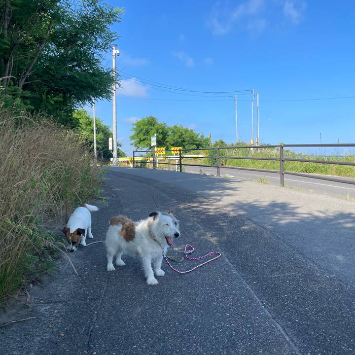 63f995bf cff3 42c7 b163 cf135195194d 1719616670704