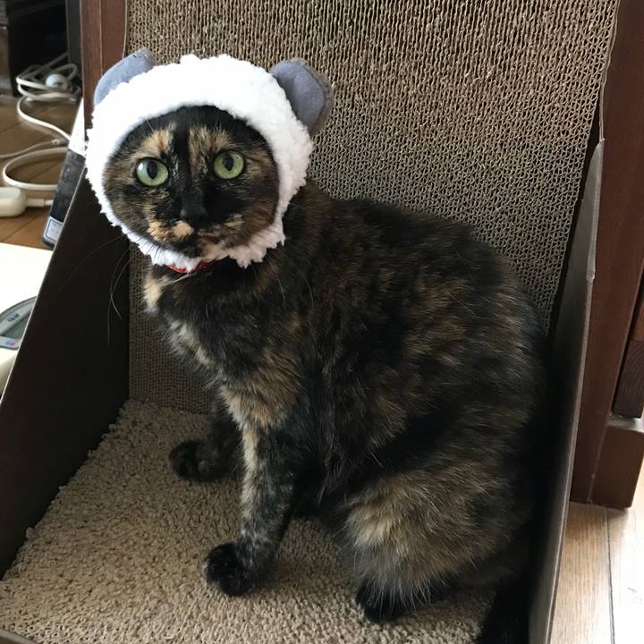 63f9a106 40ee 4d2e ad5f 1211c3438d29 1533978529230