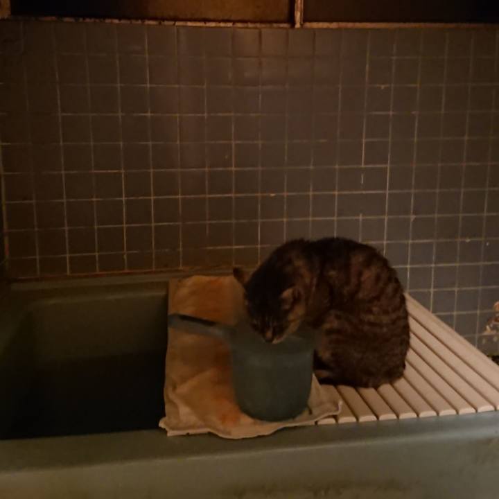 63f9a6b5 70b8 4449 89ac b631002a4f2c 1573374931022