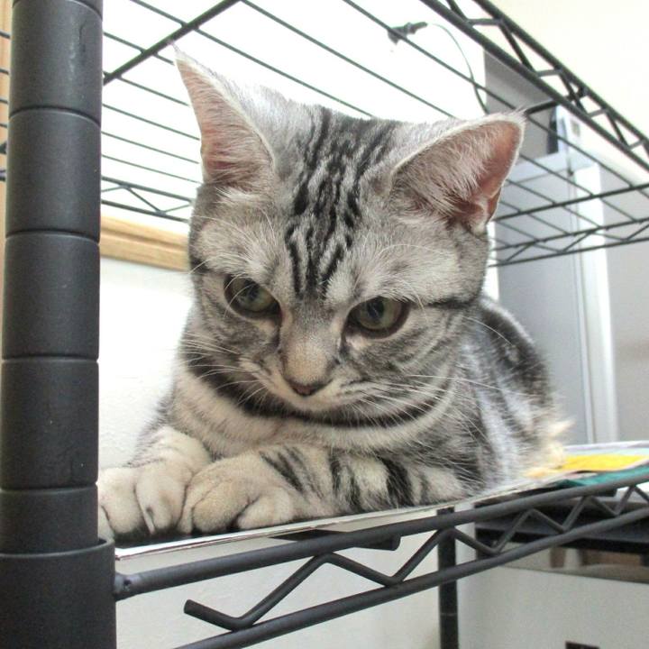 63f9ba0d a91a 4931 9fdc 64903422770f 1550320130303